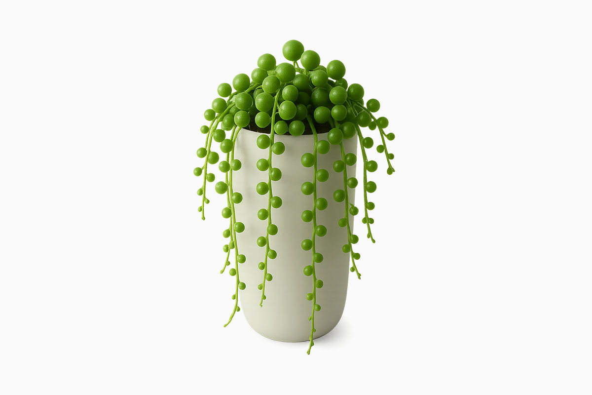String of Pearls